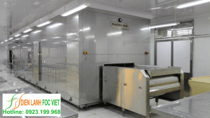 Dây Truyền Cấp Đông IQF Trong Kho Lạnh Dây Truyền Cấp Đông IQF Trong Kho Lạnh