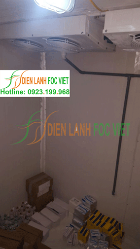 lắp đặt kho lạnh vacxin