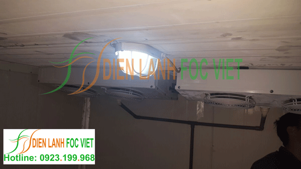 lắp đặt kho lạnh dược phẩm