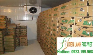 Dịch vụ lắp đặt kho lạnh bảo quản sữa