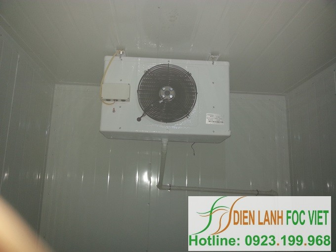lắp đặt kho lạnh bảo quản rau quả