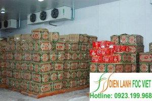 Bảo quản thực phẩm bằng kho lạnh và tác dụng vượt trội