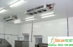 Lắp đặt kho lạnh bảo quản thực phẩm