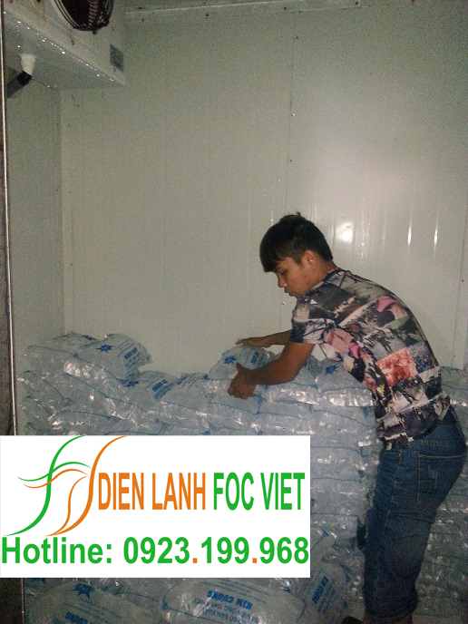 lắp đặt kho lạnh bảo quản đá viên