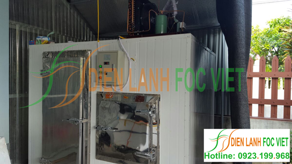 kho lạnh bảo quản đá viên, đá cây