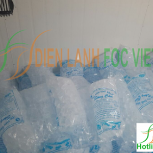 kho lạnh bảo quản đá viên