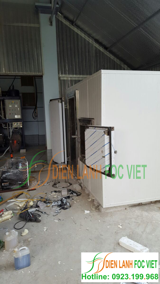 kho lạnh bảo quản đá viên, đá cây