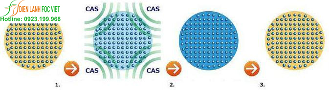 lắp đặt kho-lạnh bảo quản nông sản