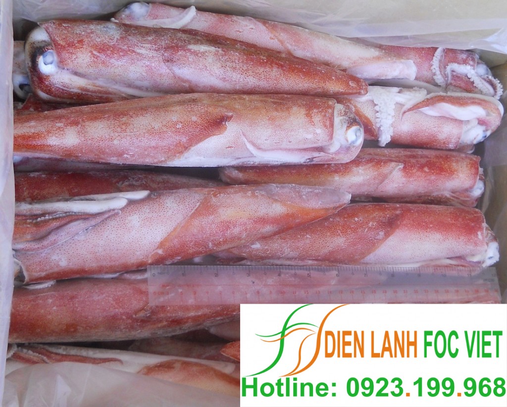 lắp đặt kho-lạnh bảo quản nông sản