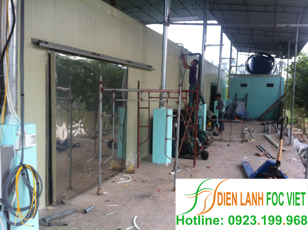 lắp đặt kho lạnh bảo quản cà rốt