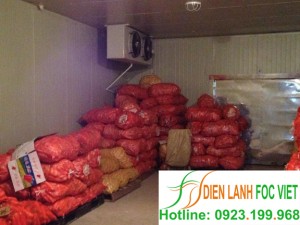 Kho lạnh cà rốt | Lắp đặt kho lạnh cà rốt tại Bắc Ninh