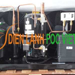 cụm máy nén dàn ngưng Tecumseh