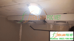 Lắp đặt kho lạnh bảo quản vacxin tại Hưng Yên