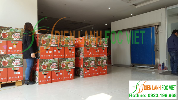 lắp đặt kho lạnh siêu thị