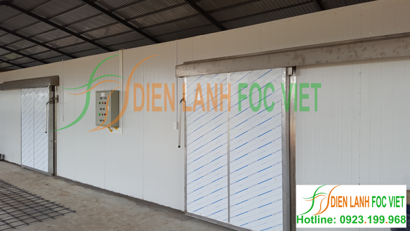 lắp đặt kho lạnh bảo quản cà rốt