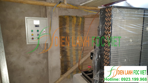 nhà lạnh nuôi trồng nấm