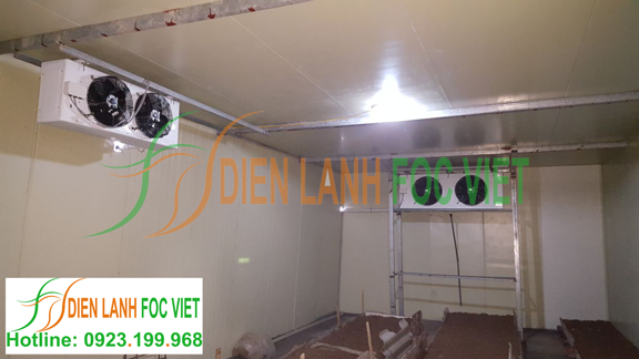 lắp đặt kho lạnh bảo quản nấm
