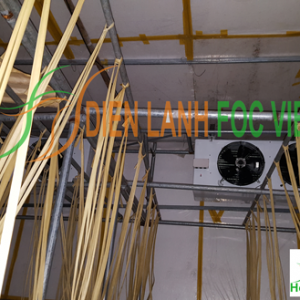 phong-lanh-nuoi-trong-nam-5 phòng lạnh nuôi trồng nấm