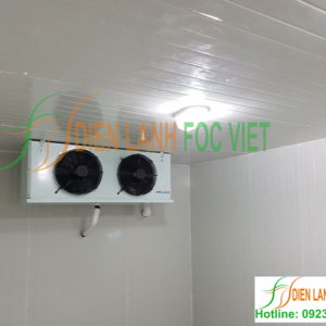 thi công kho cấp đông tảo