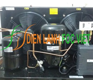 Tên sản phẩm: Cụm máy nén dàn ngưng Tecumseh EPH4561Z