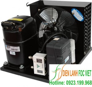 Cụm máy nén dàn ngưng Tecumseh-EPH4540Z