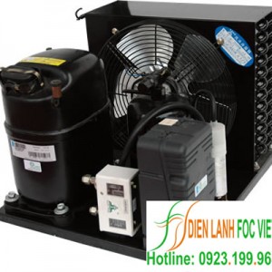Cụm máy nén dàn ngưng Tecumseh EPSH4524Z