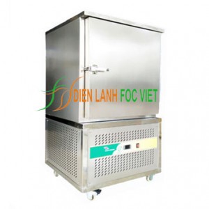 Tủ cấp đông nhanh thực phẩm dung tích 610L