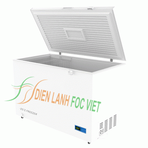 Tủ đông y tế DW-YW358A