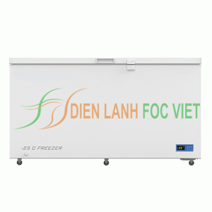 Tủ đông y tế DW-YW508A